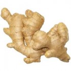 GINGER PER LB